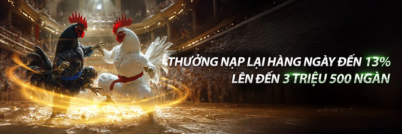 Sân đấu gà trực tuyến kịch tính tại Banca30